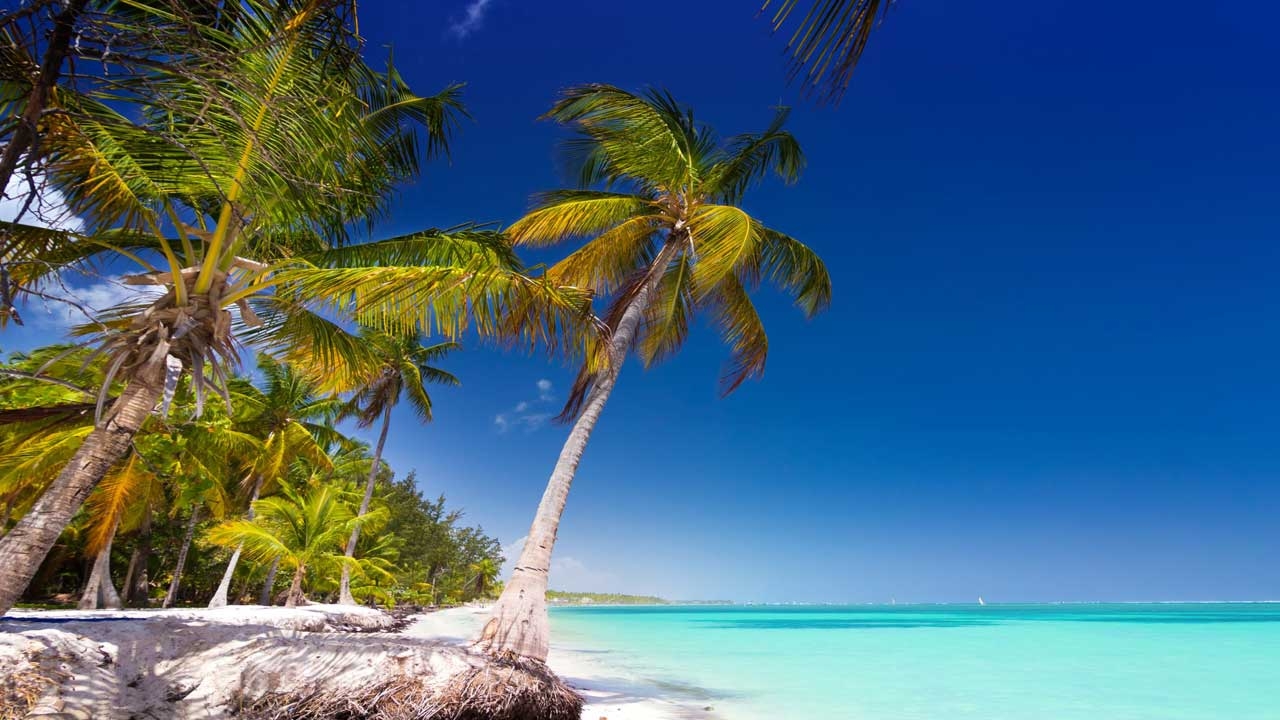 4 Paquete de 7 noches en Punta Cana con todo incluido. Relájate en el Caribe. Reserva ahora con salidas mensuales