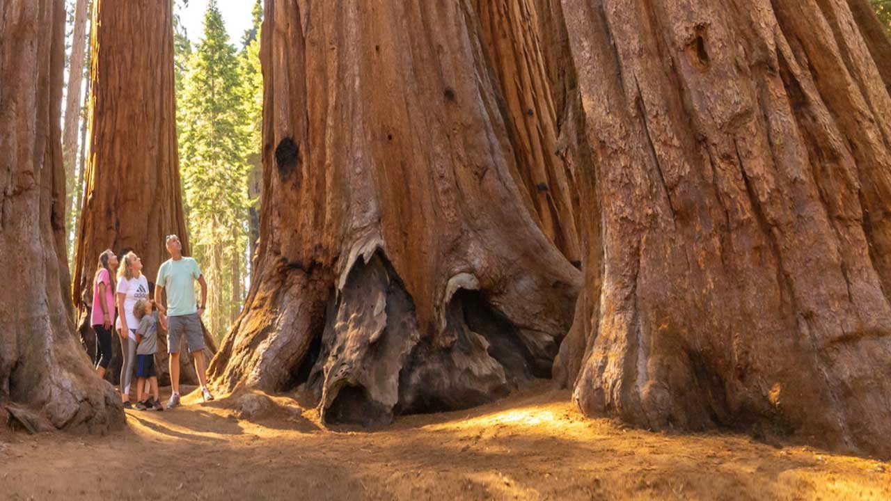 4 Explora la Costa Oeste de EE.UU. en un tour de 15 días desde Los Ángeles hasta San Francisco. ¡Reserva ya!