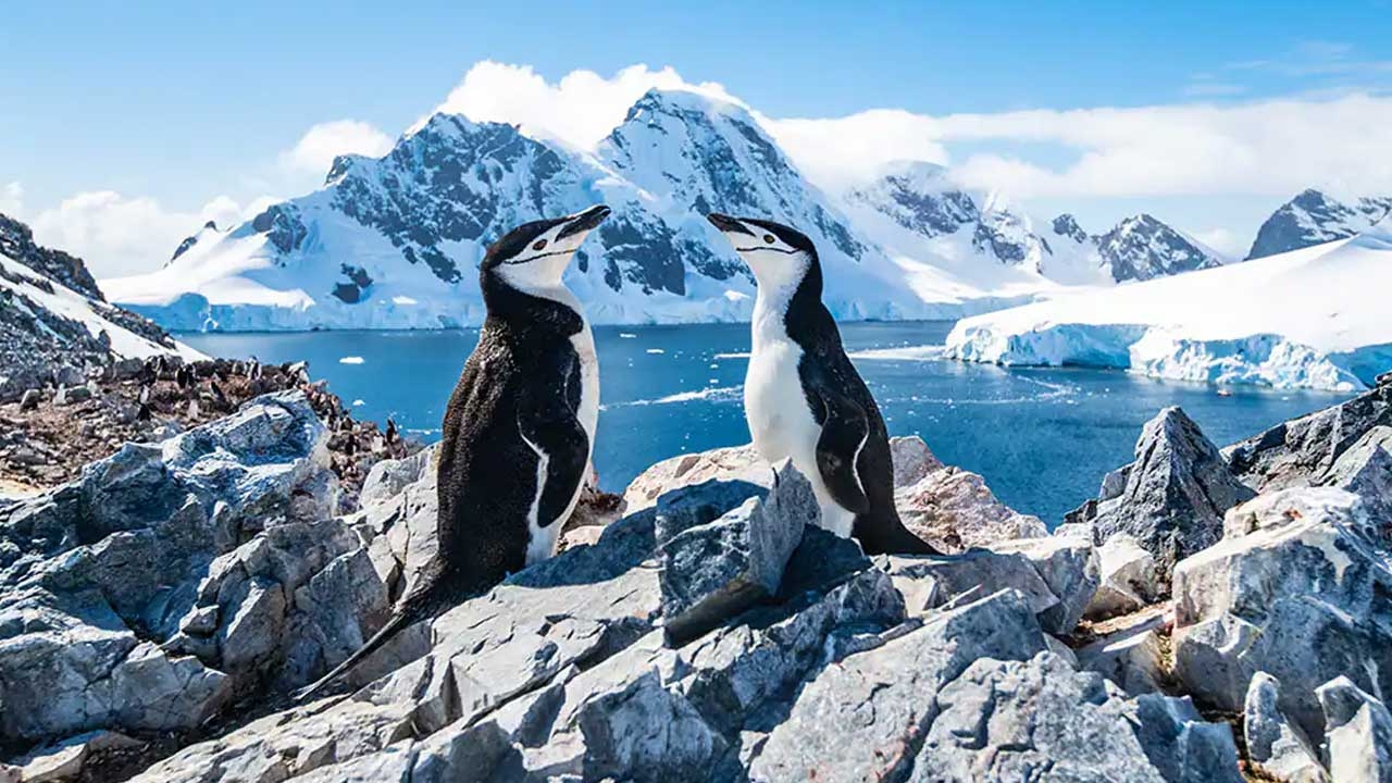 2 Descubre la belleza de la Antártida a bordo del NCL Norwegian. Reserva tu viaje y vive una aventura extraordinaria en el fin del mundo.