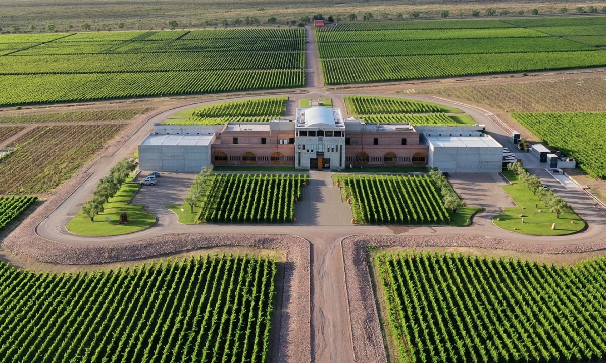 3 Tour de 4 días en Mendoza: visitas a bodegas, excursión a la montaña y más. Reserva ahora.